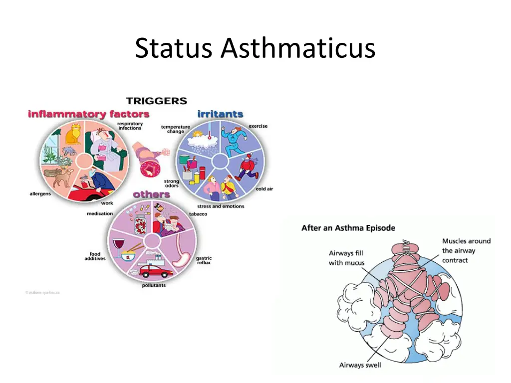 status asthmaticus