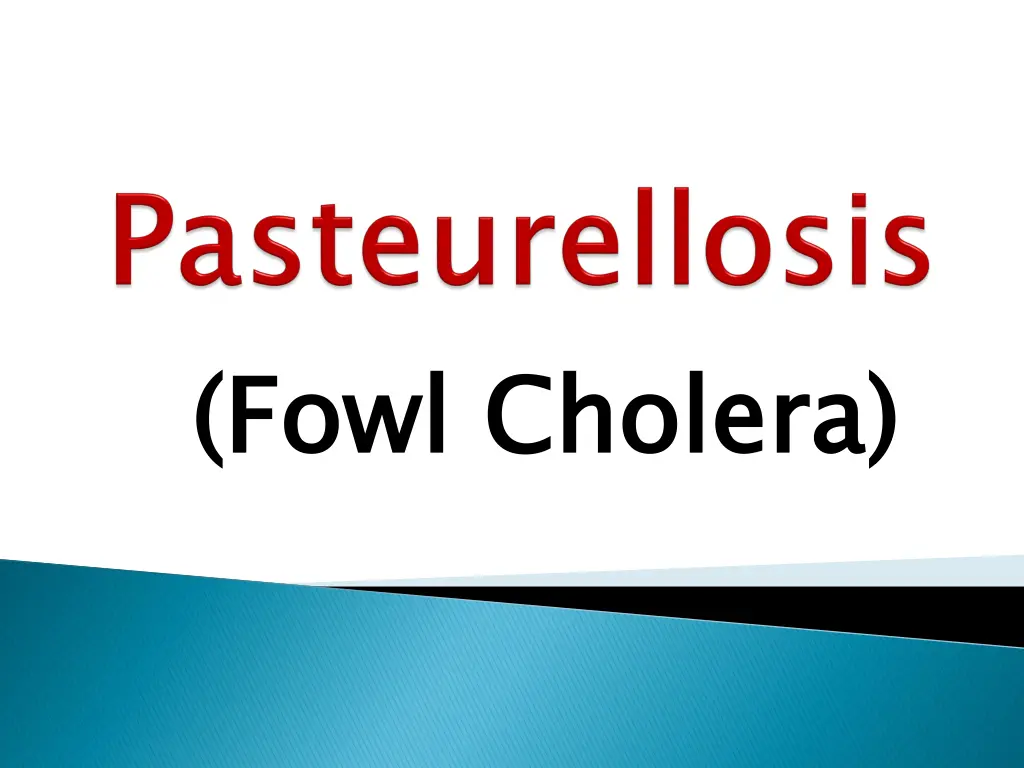 fowl cholera