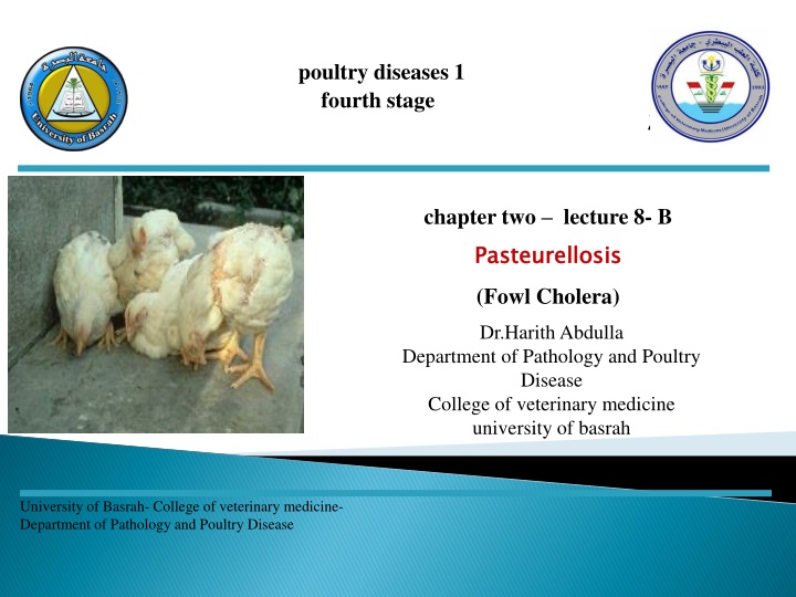 poultry diseases 1 fourth stage