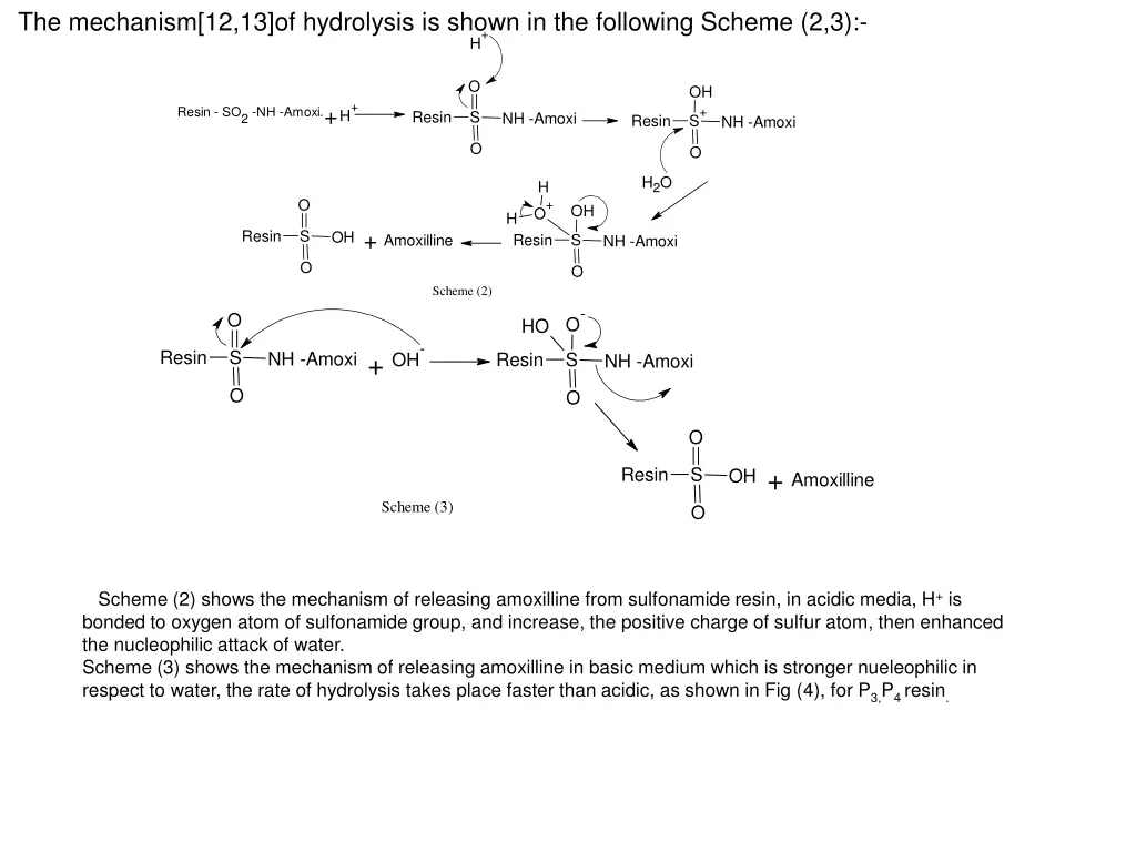 the mechanism 12 13 of hydrolysis is shown