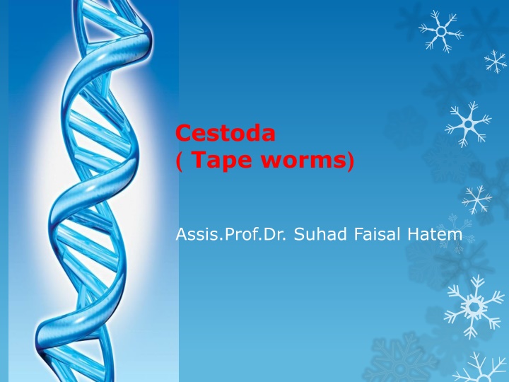 cestoda tape worms