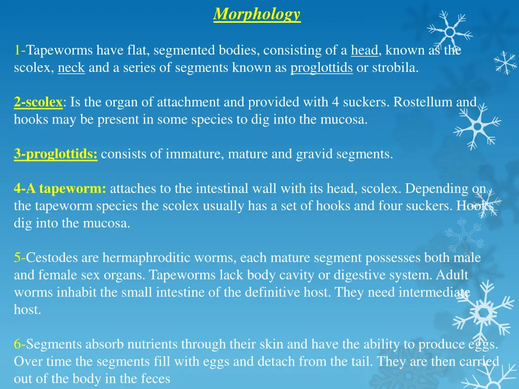 morphology