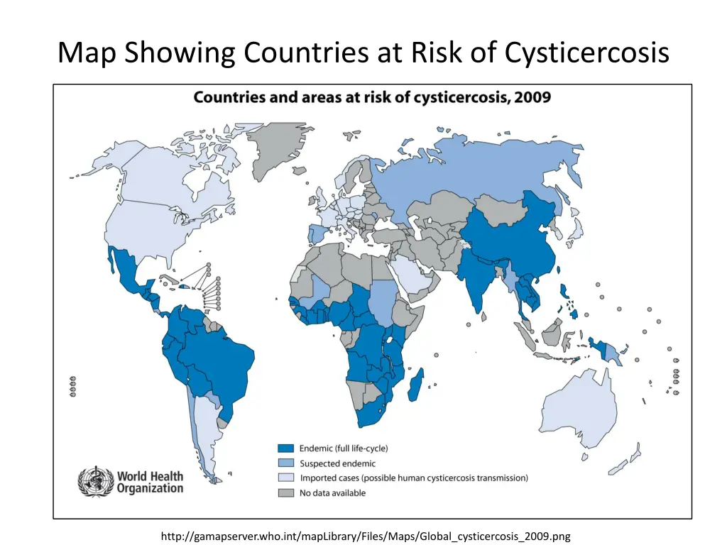 map showing countries at risk of cysticercosis