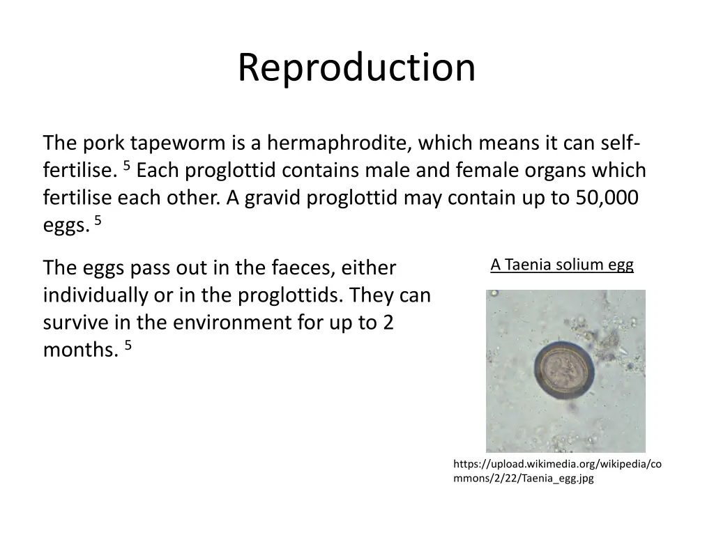 reproduction