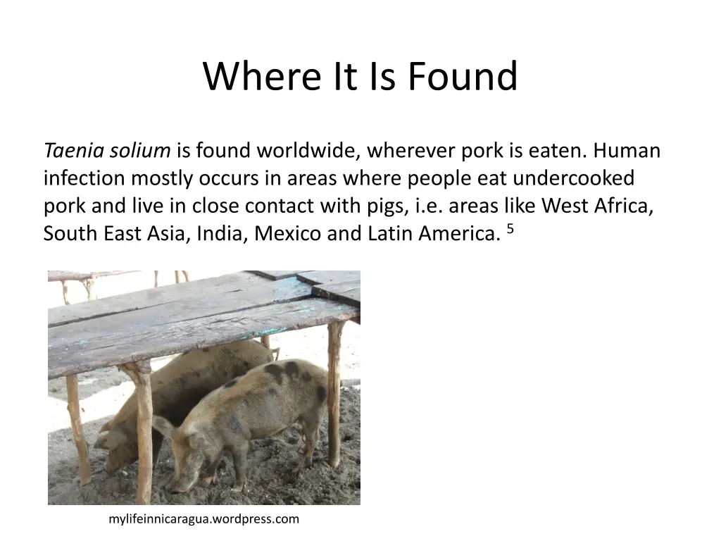 where it is found