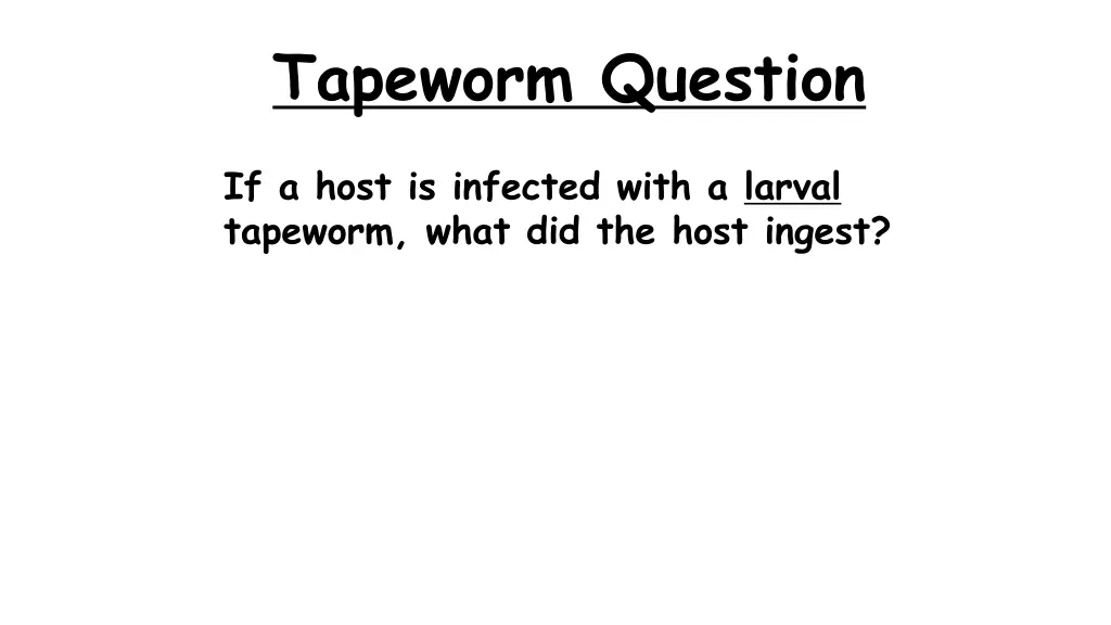 tapeworm question 6