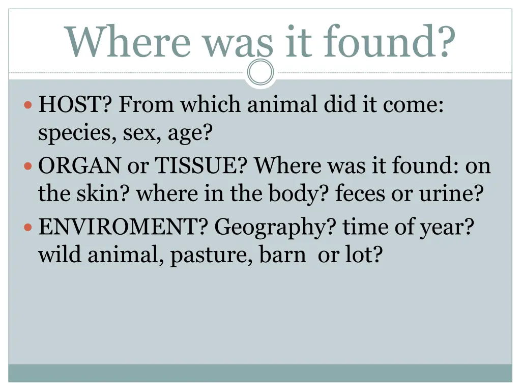 where was it found