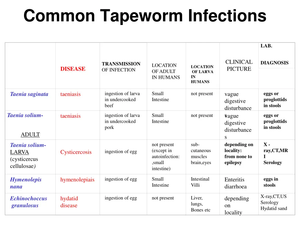 common tapeworm infections