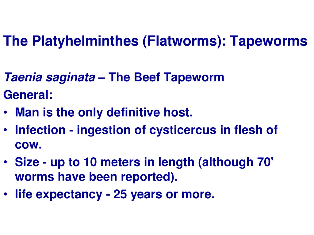 the platyhelminthes flatworms tapeworms 10