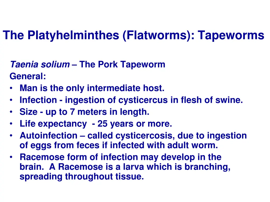 the platyhelminthes flatworms tapeworms 12