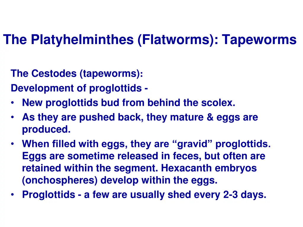 the platyhelminthes flatworms tapeworms 2