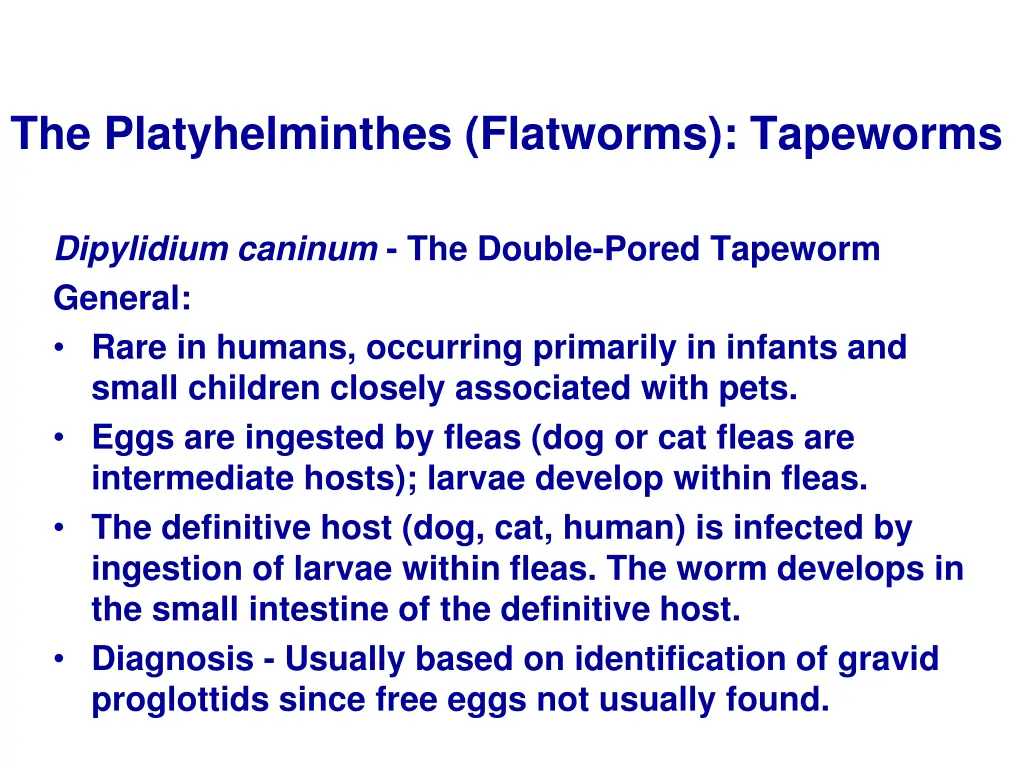 the platyhelminthes flatworms tapeworms 20