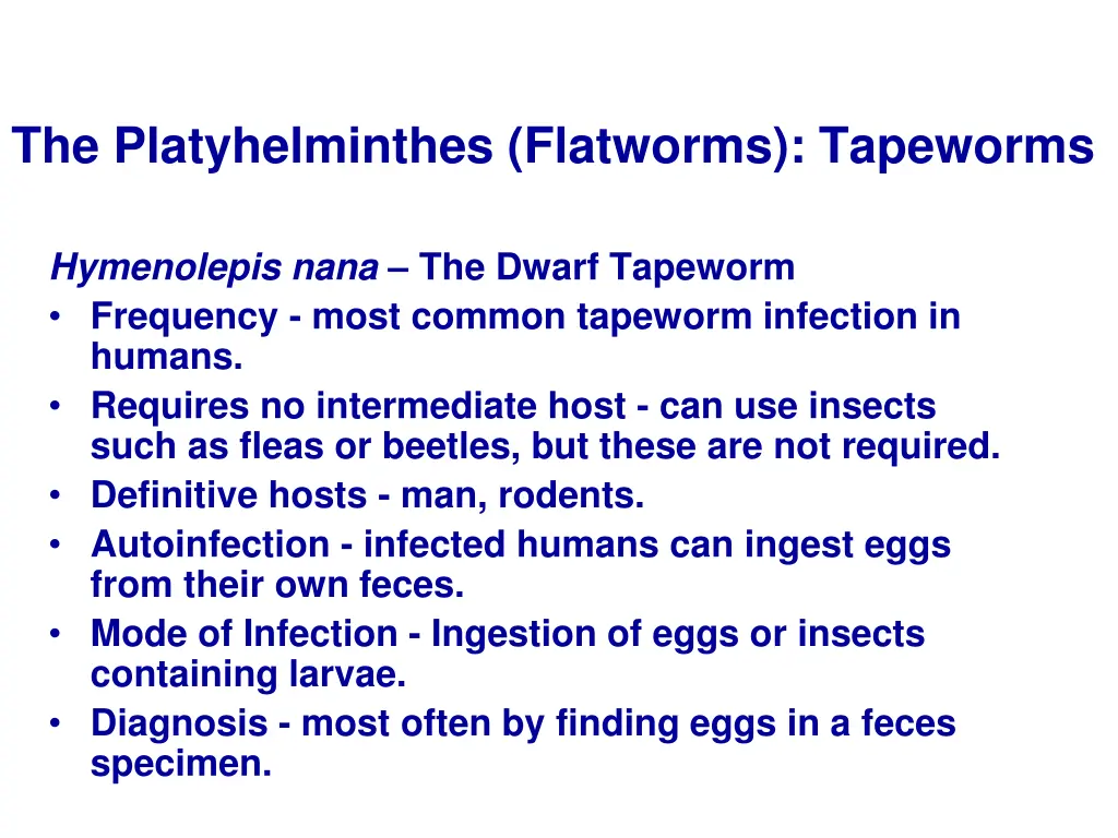 the platyhelminthes flatworms tapeworms 4