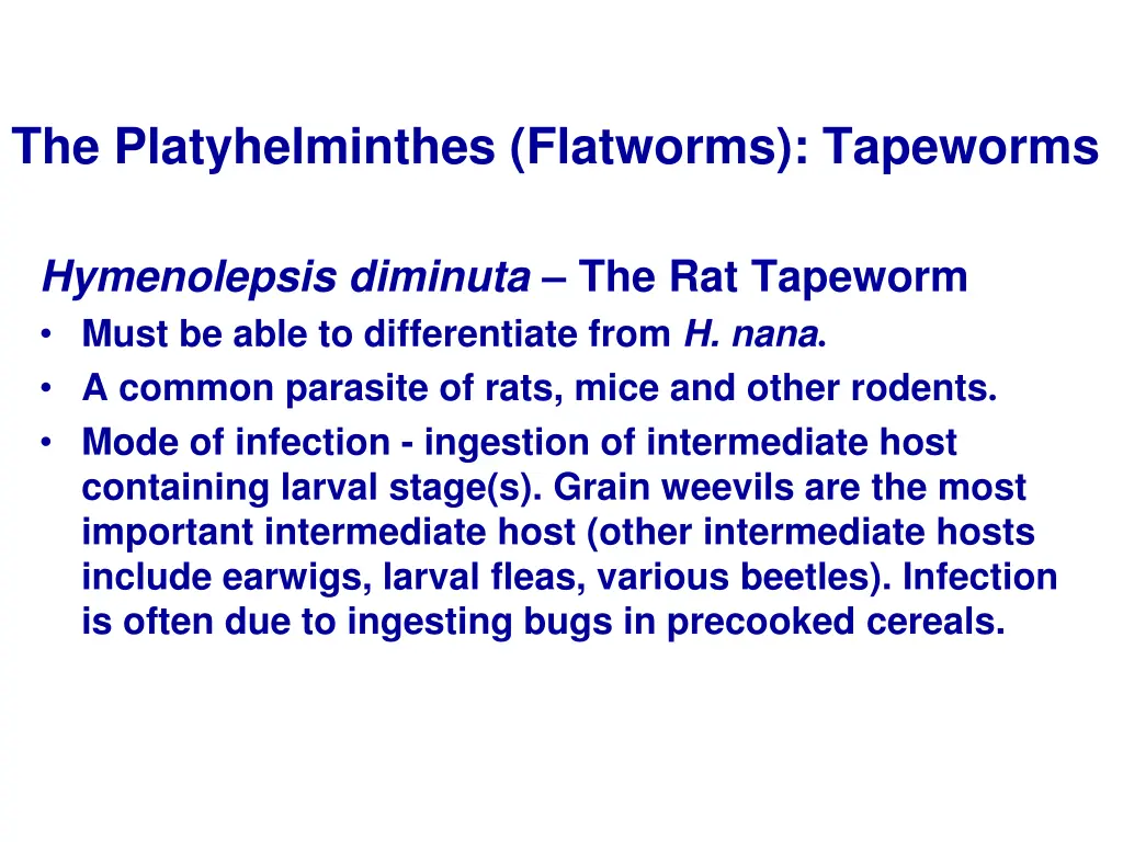 the platyhelminthes flatworms tapeworms 6