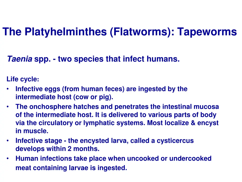 the platyhelminthes flatworms tapeworms 8