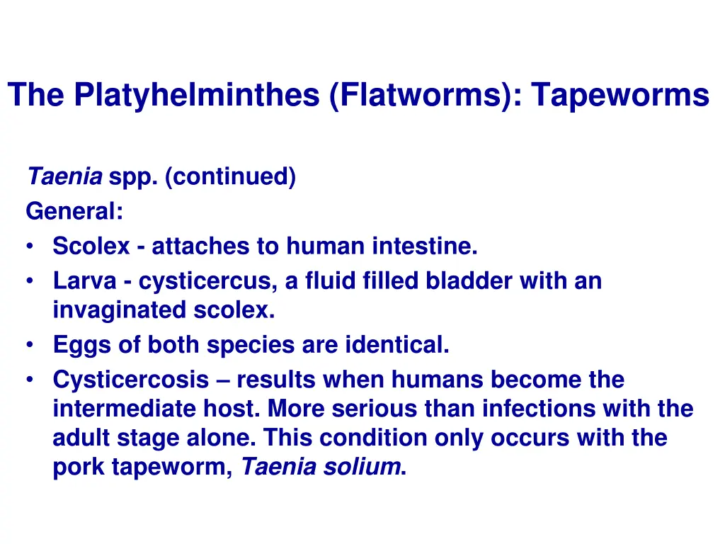 the platyhelminthes flatworms tapeworms 9