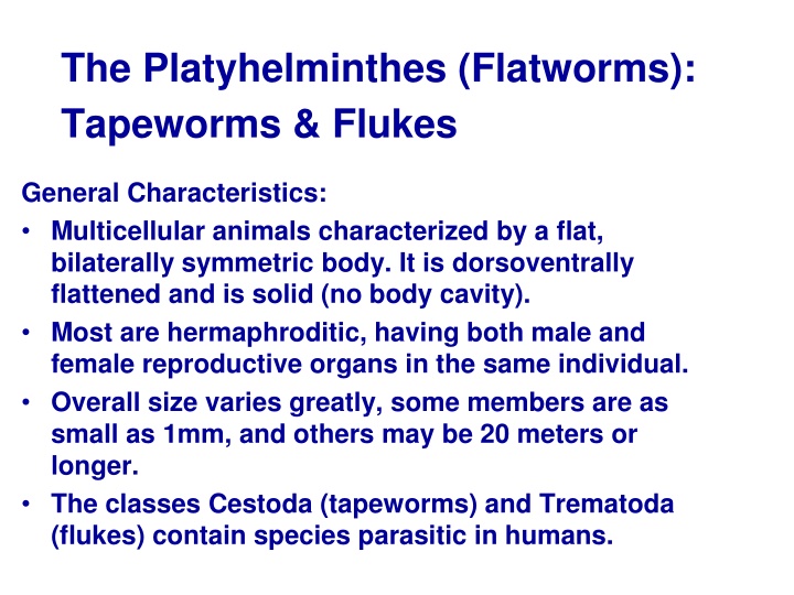 the platyhelminthes flatworms tapeworms flukes