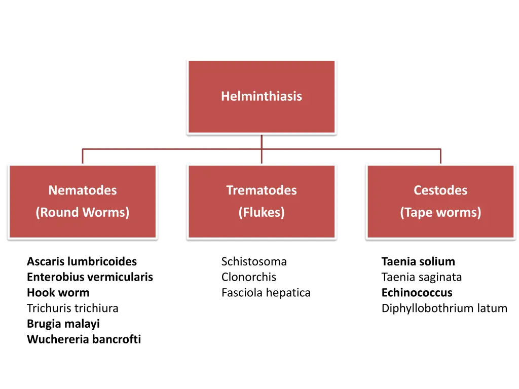 helminthiasis