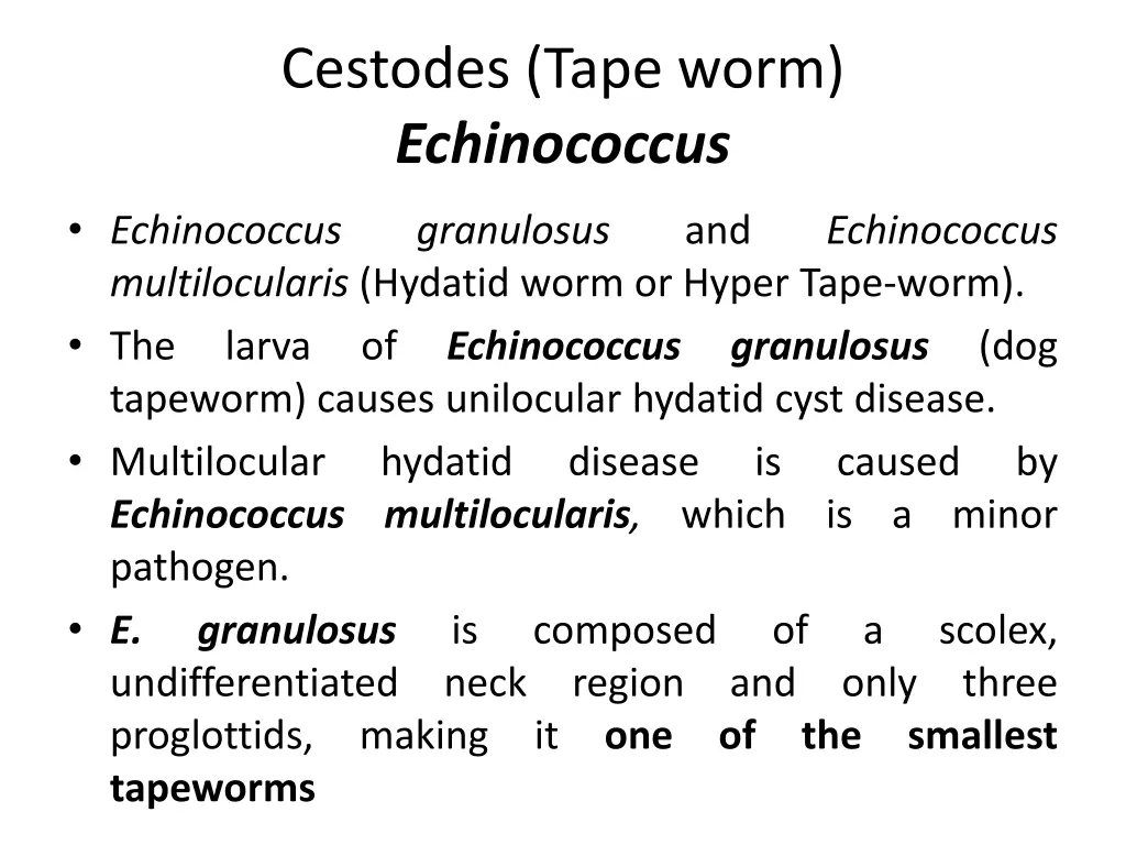 cestodes tape worm echinococcus