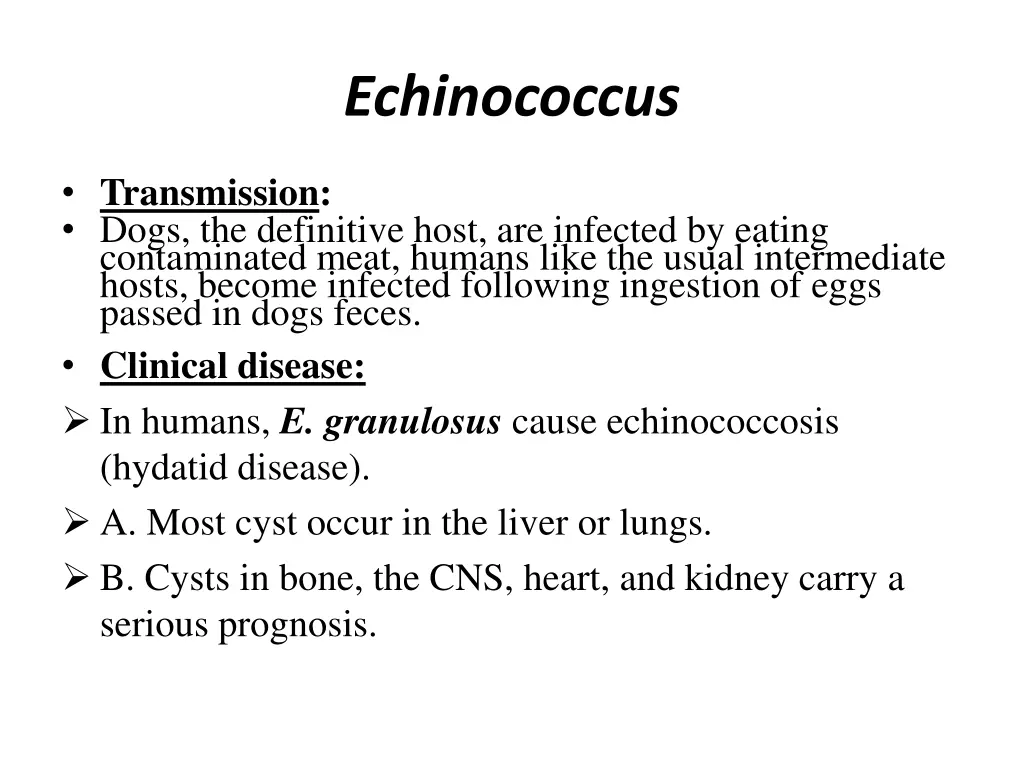 echinococcus