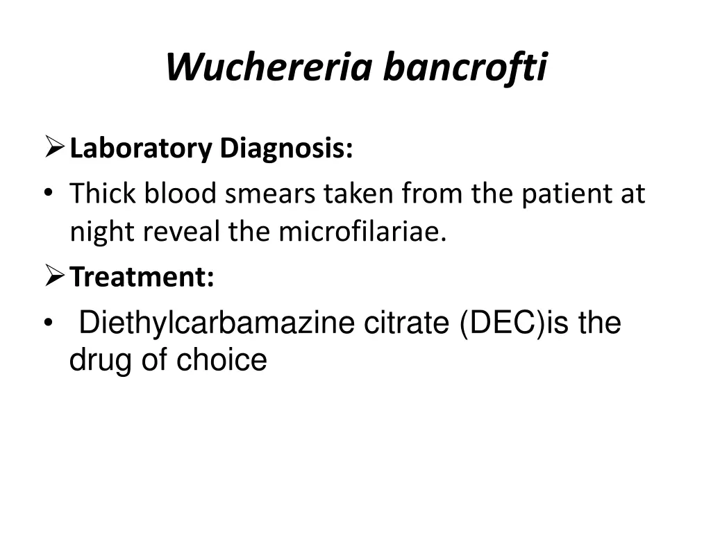 wuchereria bancrofti