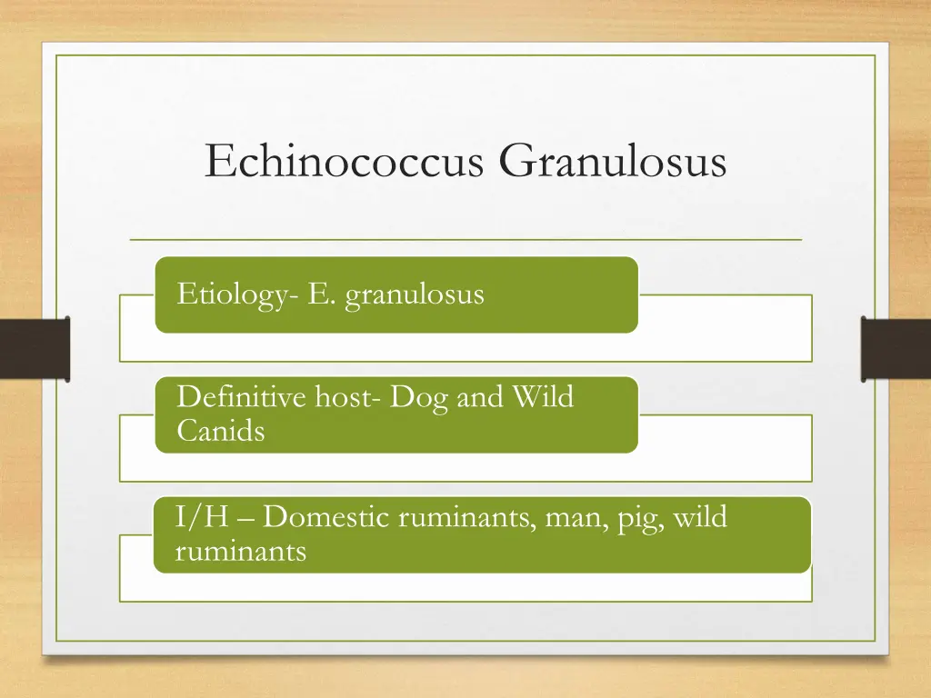 echinococcus granulosus