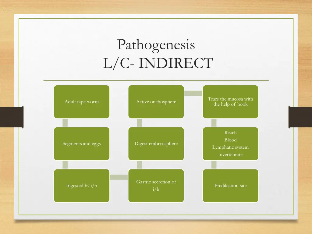 pathogenesis l c indirect