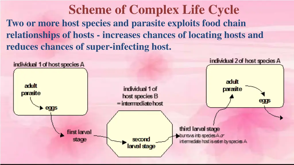 scheme of complex life cycle two or more host