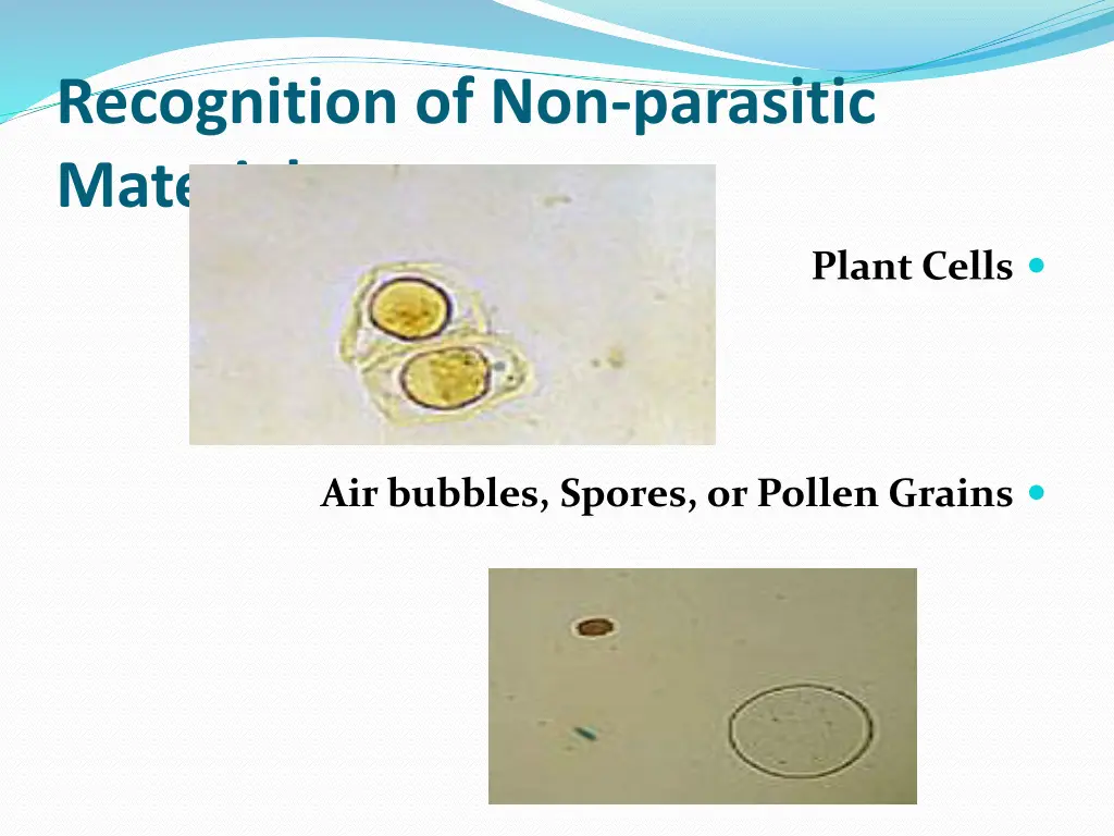 recognition of non parasitic material