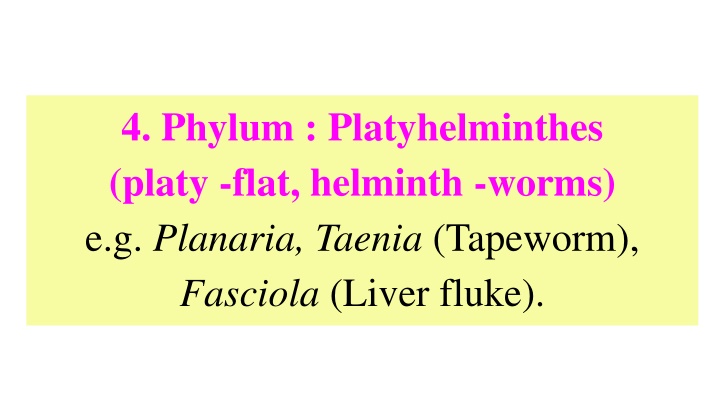 4 phylum platyhelminthes platy flat helminth