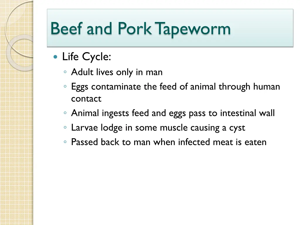 beef and pork tapeworm 1