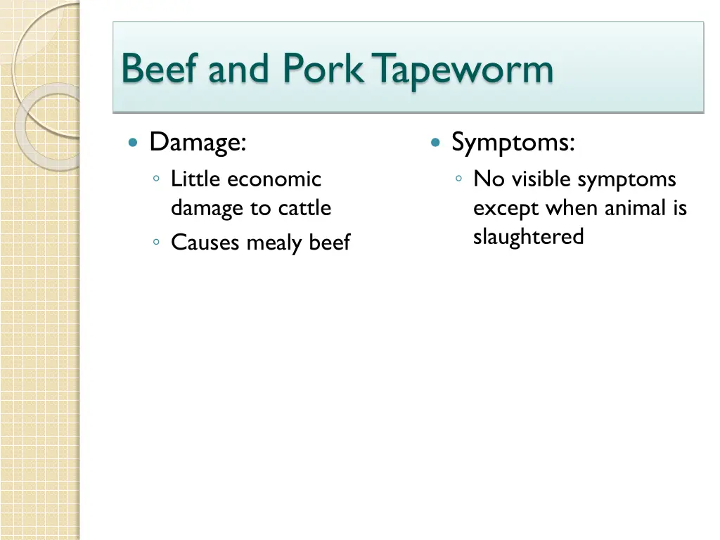 beef and pork tapeworm 2