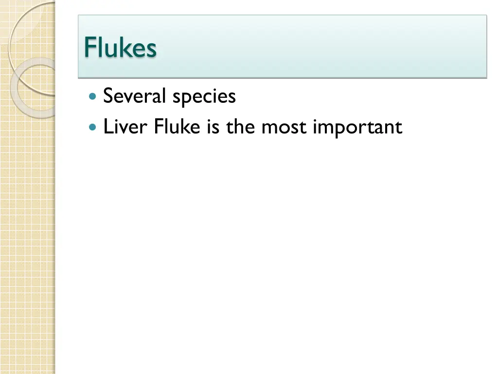 flukes