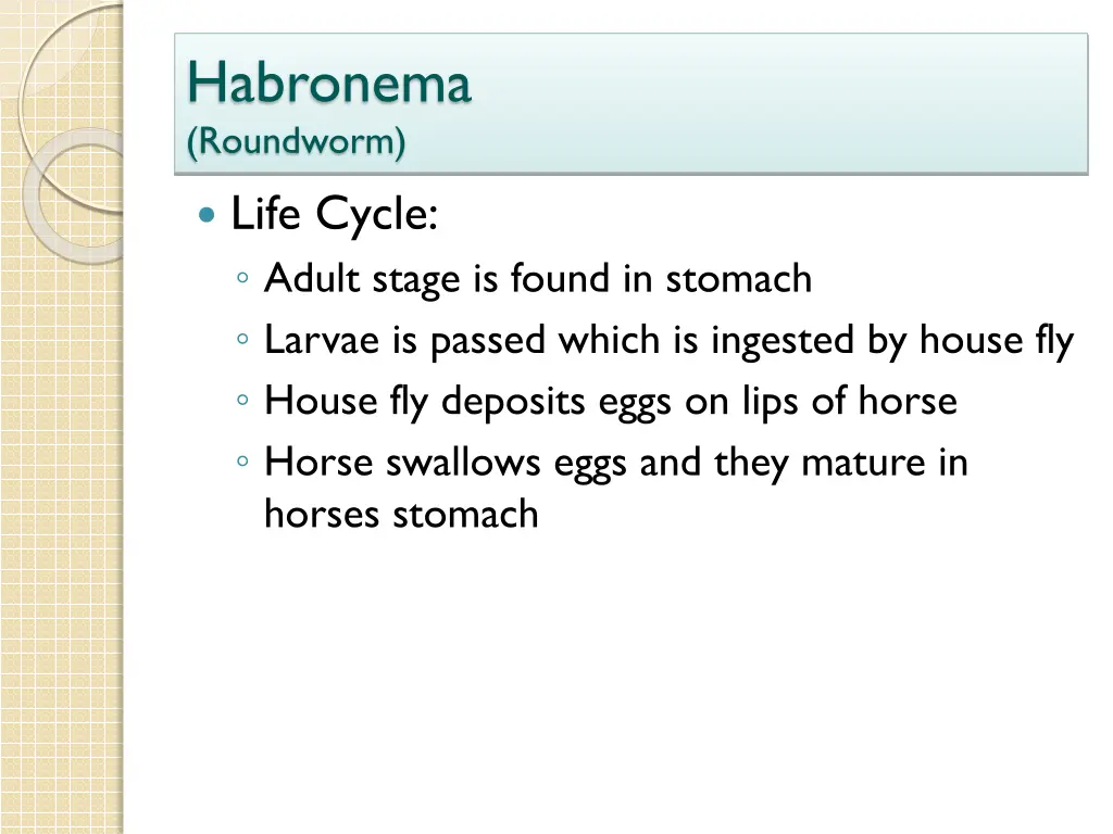 habronema roundworm 1