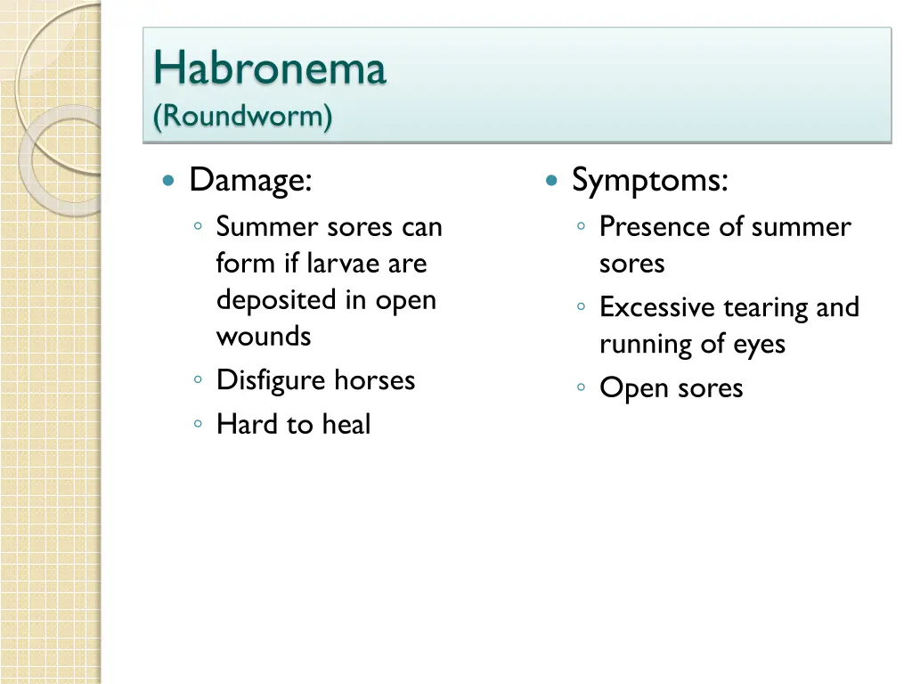 habronema roundworm 2