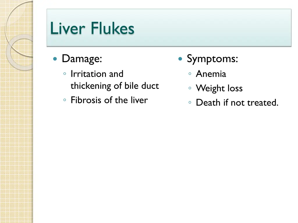 liver flukes