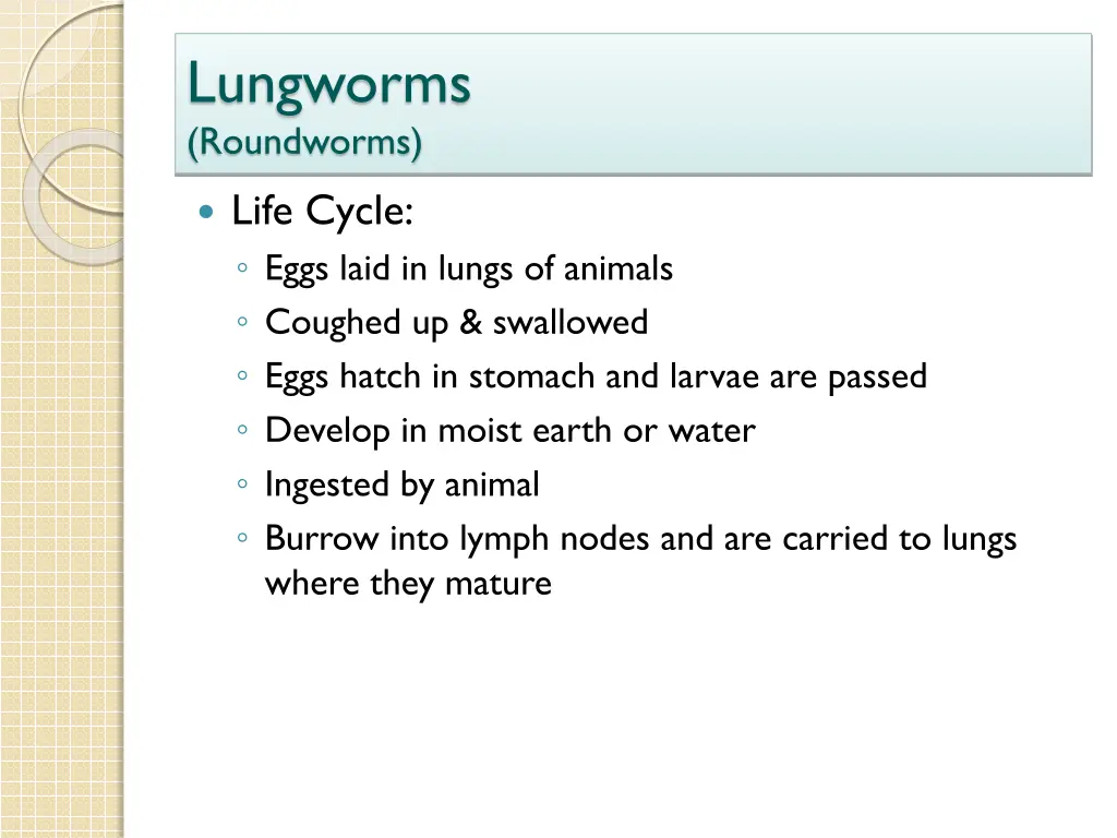 lungworms roundworms 1