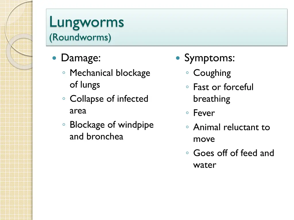 lungworms roundworms 2