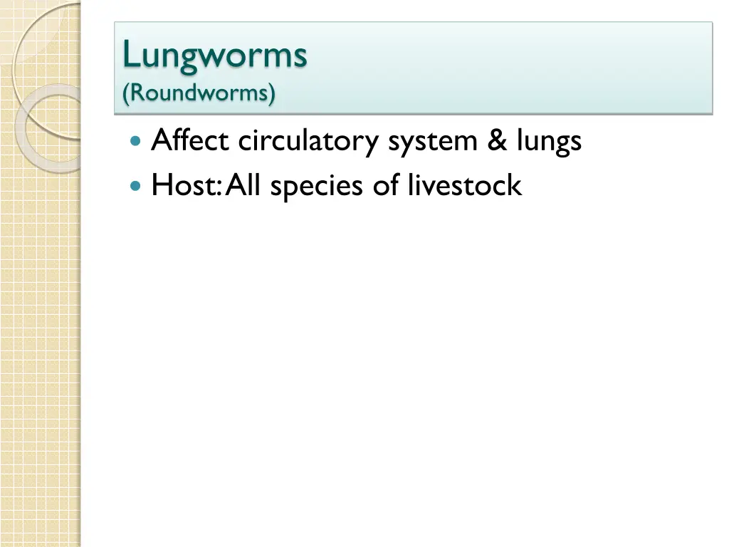 lungworms roundworms