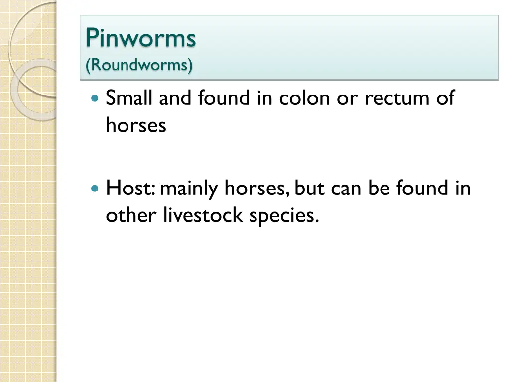 pinworms roundworms