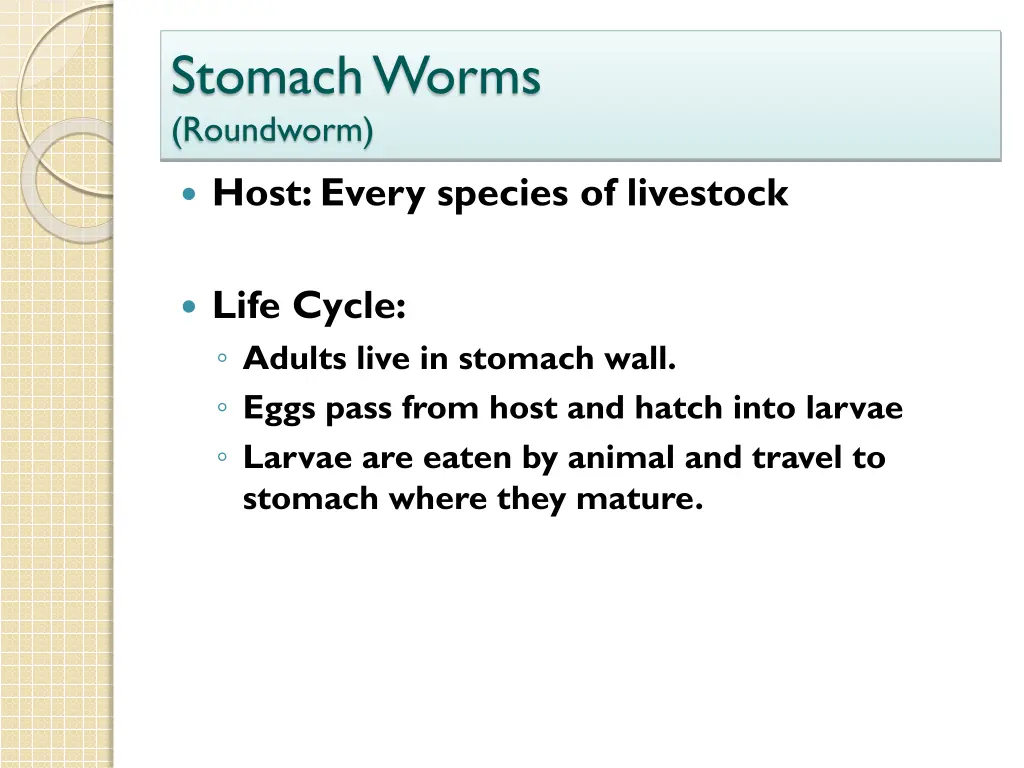 stomach worms roundworm