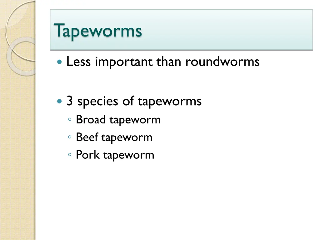 tapeworms