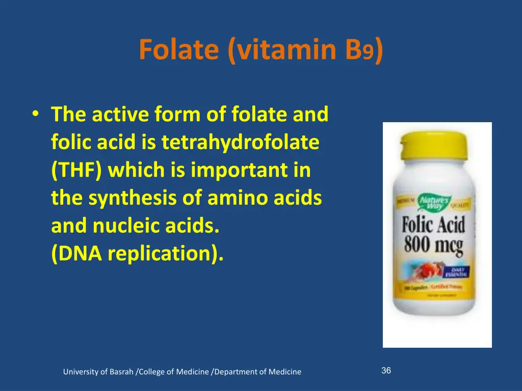 folate vitamin b 9