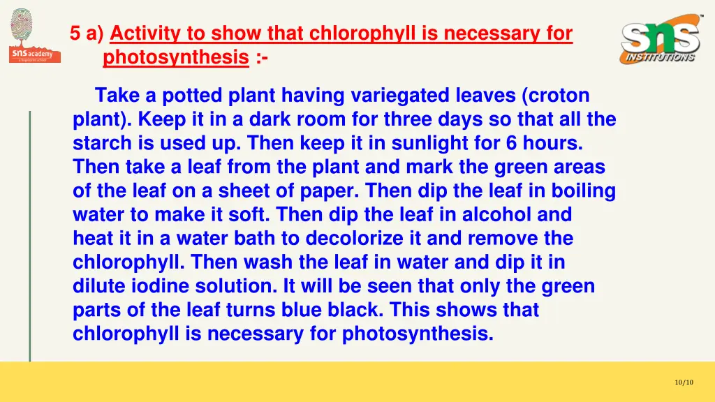 5 a activity to show that chlorophyll