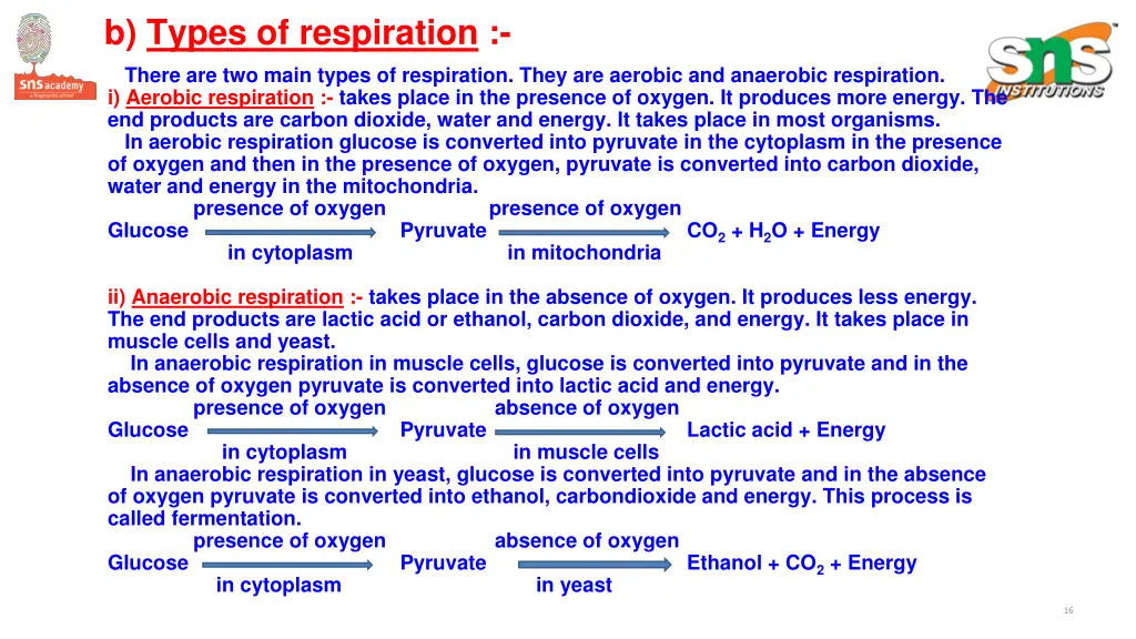 b types of respiration