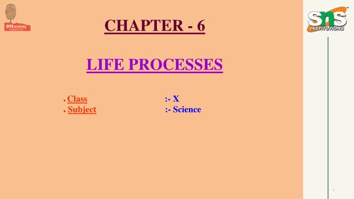 chapter 6