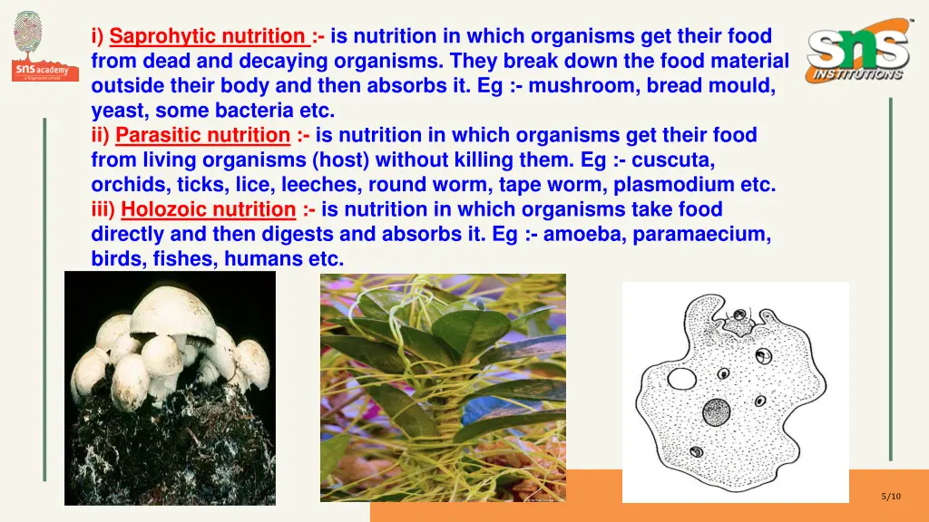 i saprohytic nutrition is nutrition in which