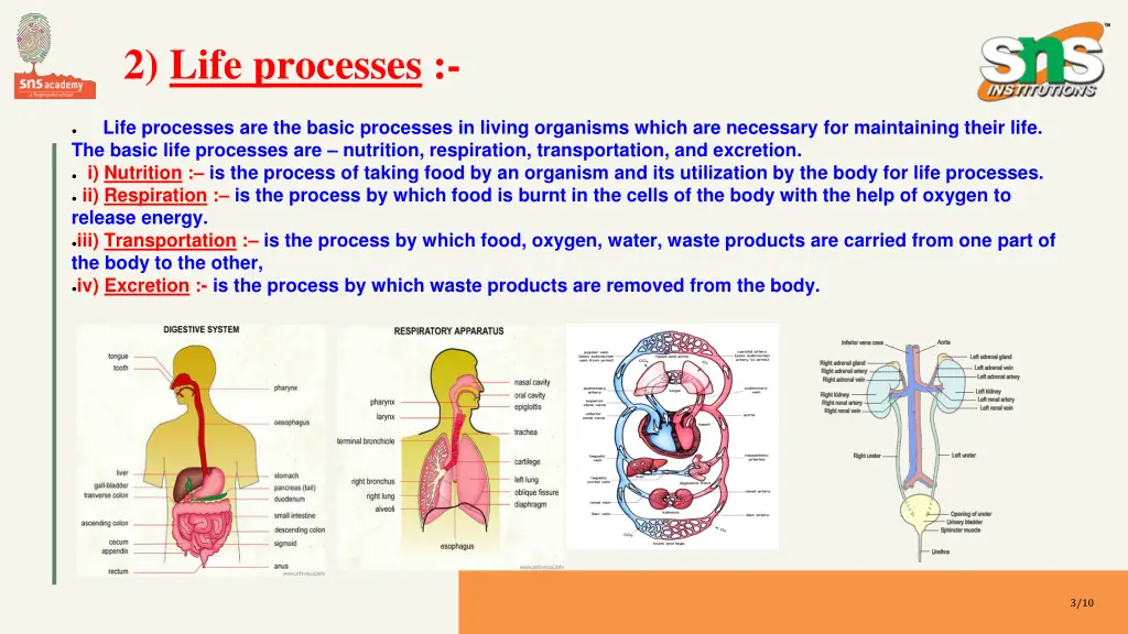 2 life processes