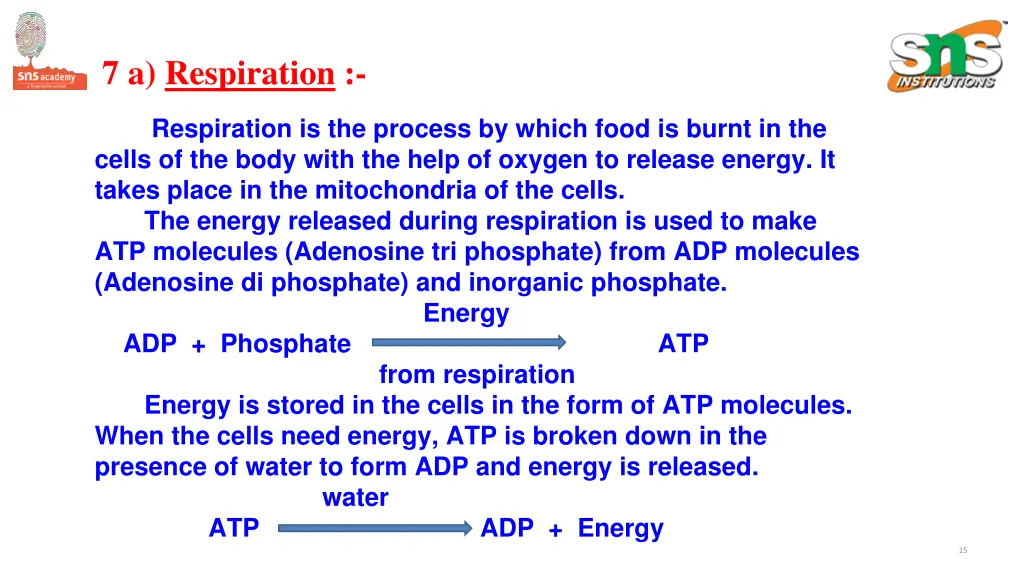 7 a respiration