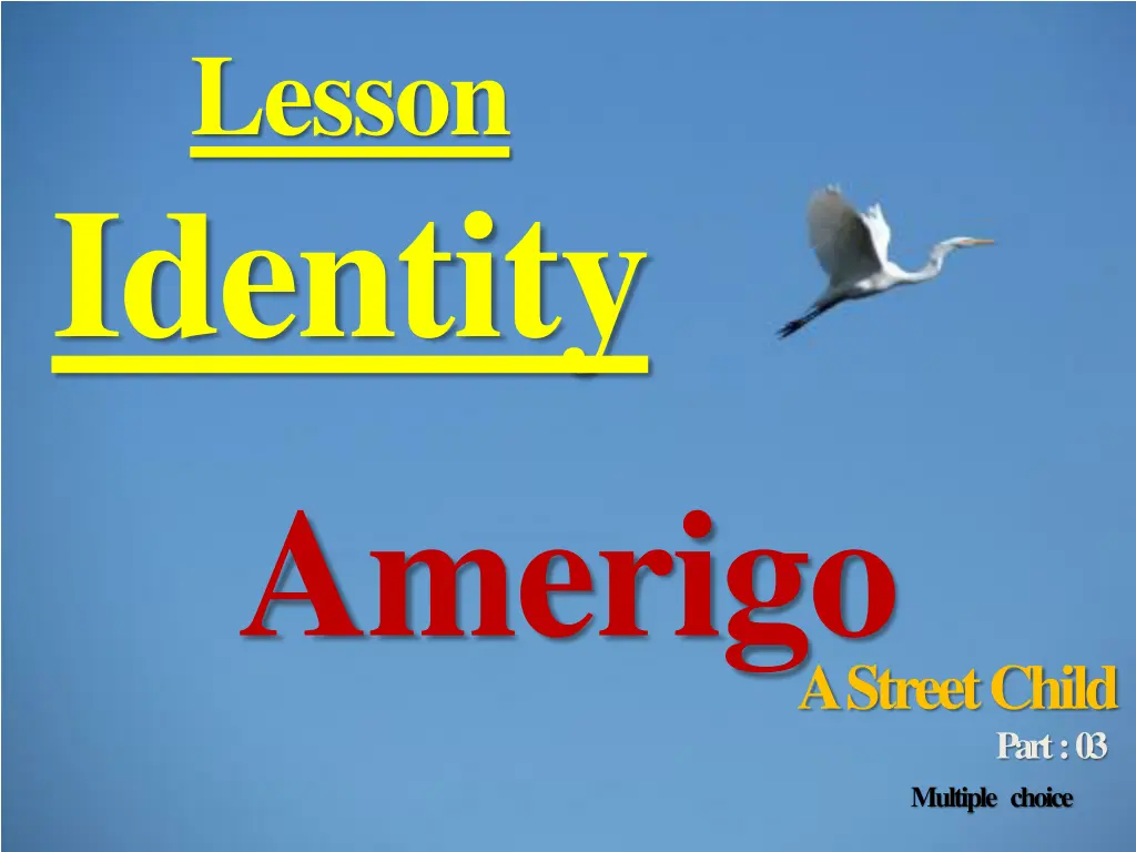 lesson identity amerigo